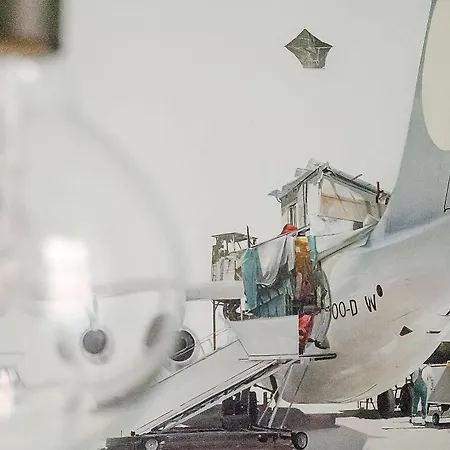 Boom * Krakau